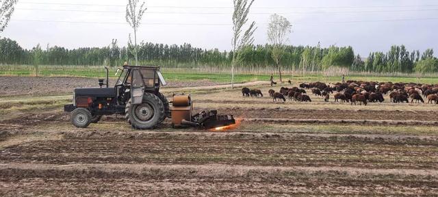 کاهش سهمیه سوخت کشاورزی فارس، امنیت غذایی را تهدید می‌کند