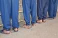 دستگیری سارقان گلخانه‌ها و کوره‌ها در یزد