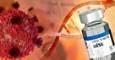 انقلاب RNA در پزشکی از واکسن کووید-۱۹ تا درمان‌ های هدفمند آینده