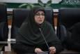 انصاری: حمایت‌های رییس‌ جمهوری از ضوابط محیط‌زیستی چالش‌های ما را کاهش داده است