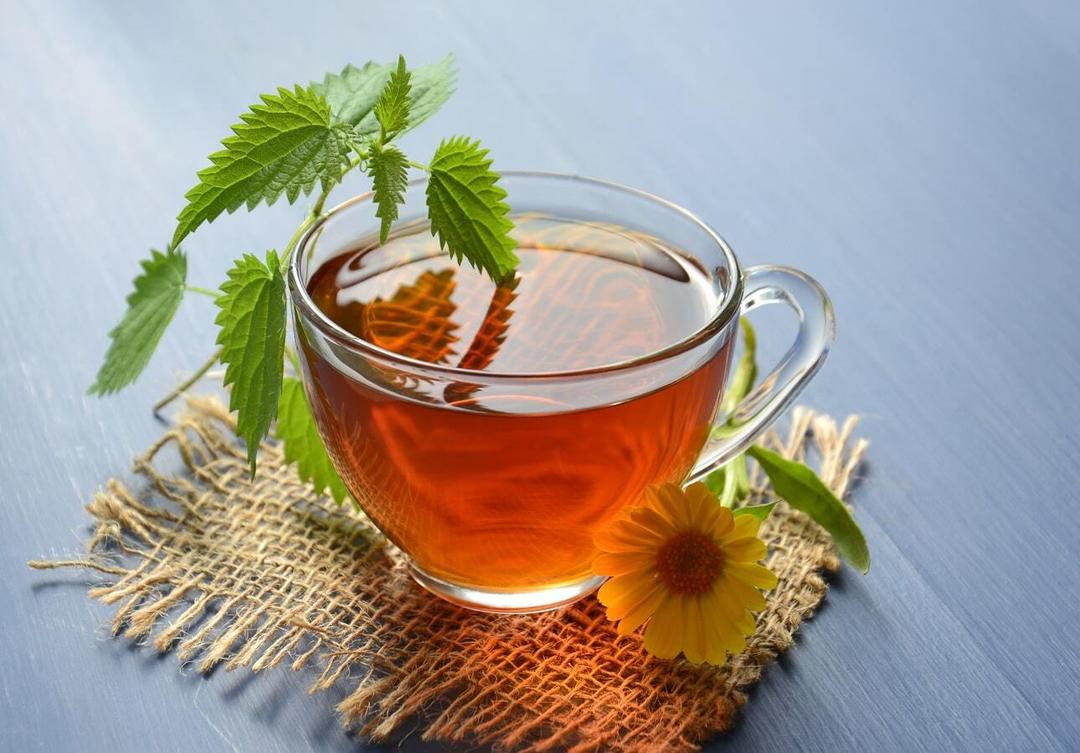 نوشیدنی‌های گیاهی برای آرامش و سلامتی