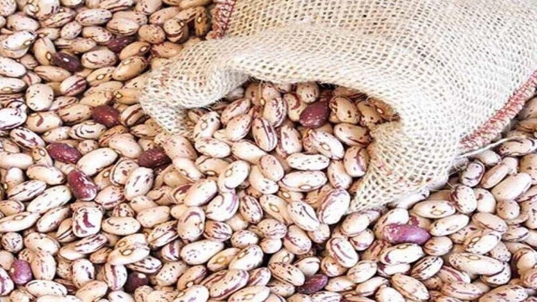 چراغ سبز به گرانی حبوبات / لوبیا چیتی هم قیمت گوشت شد/ افزایش ۶ برابری لوبیا چیتی با چه دلیل و منطقی؟