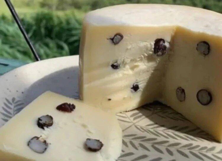 پنیر با طعم مورچه!
