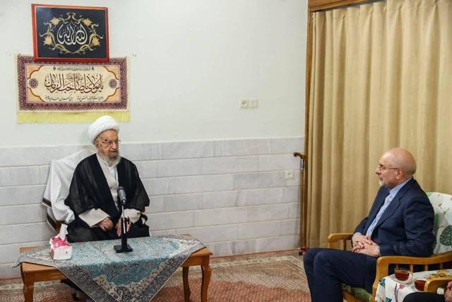 یک مرجع تقلید شیعه: آغاز اجرای قانون حجاب باید از ادارات دولتی باشد