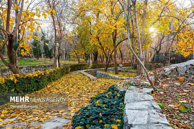 دمای هوای مشهد به ۸ درجه می‌رسد