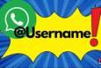 امکان رزرو نام کاربری در واتس‌اپ فراهم می‌شود