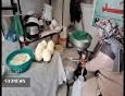 همت بانوی کارآفرین فاروجی در رونق صنعت دامپروری