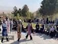 دورهمی خانوادگی در کوهستان پارک شیرکوه شیروان