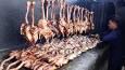غذای خیابانی مالزی: پخت اردک دودی، مرغ و کاری گوشت در کوالالامپور (فیلم)