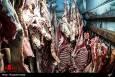 رئیس شورای تامین دام: مکانیسم ماشه تاثیری بر بازار گوشت نداشته است/ بازار در مسیر ثبات