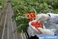 تولید ملی برای آبادانی مناطق محروم