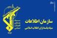 برخورد جالب سازمان اطلاعات سپاه با ۱۲۰ ایرانی اخراجی از آمریکا/ شکنجه شدید در فرودگاه الکساندریا و استقبال ویژه در تهران/ روایت یک ایرانی اخراجی از شکنجه‌های قرون وسطایی پلیس فدرال!