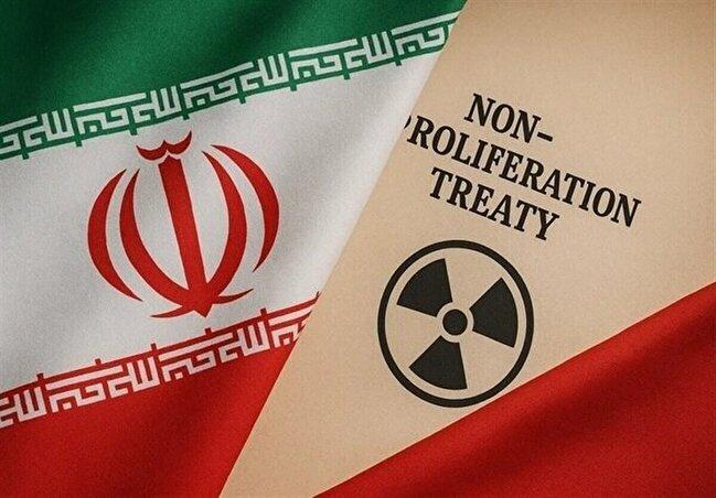 خودمان مکانیسم ماشه را فعال کرده‌ایم/ دولت با مردم آشتی کند