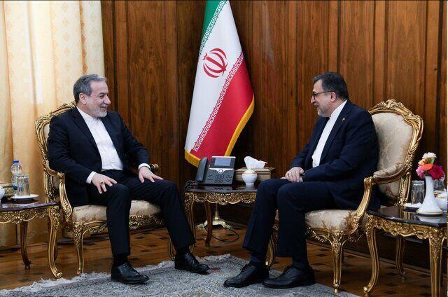 تاکید عراقچی بر اهمیت نقش سازمان همکاری اسلامی در تحکیم همکاری در قبال موضوع فلسطین