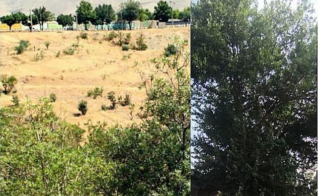 دو اثر طبیعی استان کردستان در فهرست میراث‌طبیعی ملی کشور ثبت شد