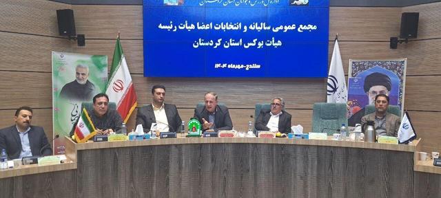 نبود سالن اختصاصی، بزرگ‌ترین چالش بوکس استان است