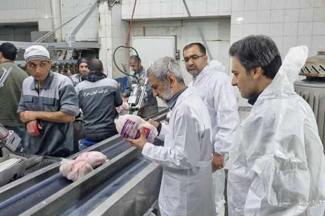 استاندار زنجان: دامپزشکان در خط مقدم صیانت از سلامت جامعه قرار دارند