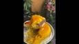 طرز تهیه کباب لاپلو با برنج زعفرانی و طعمی اصیل (فیلم)