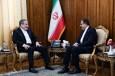 دیدار نماینده جدید ایران نزد سازمان همکاری اسلامی با عراقچی