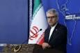 بقایی: بازداشت ۵۰۰ نفر از فعالان کاروان پایداری یک اقدام تروریستی است/ ادامه نسل‌کشی در فلسطین و سکوت نهاد‌های بین‌المللی