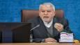 صالحی امیری: دولت مصمم به ارتباط پایدار با ایرانیان خارج از کشور است