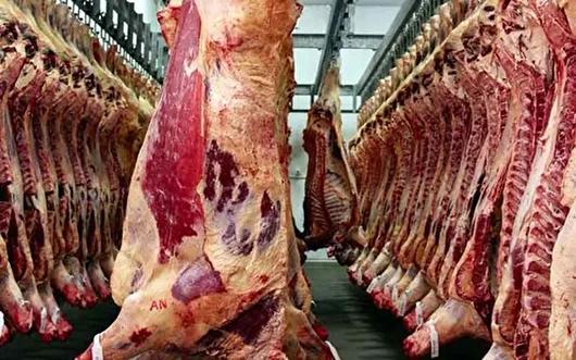 تخصیص ۱۶۰ میلیارد تومان برای احیای واحد‌های دامی غیرفعال در البرز