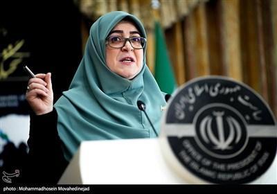 مهاجرانی اعلام کرد: آرایش جدید دولت در قبال مکانیسم ماشه/ متوجه نوسان قیمت‌ها هستیم