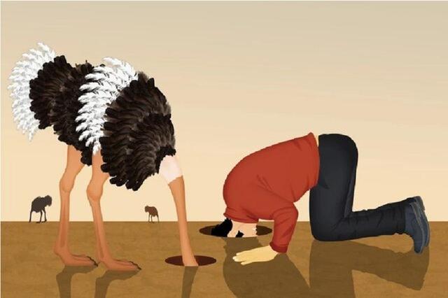 چرا در یک سن مشخص تصمیم می‌گیریم بیشتر به مغز خود استراحت دهیم؟