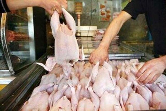 پیش‌بینی کاهش قیمت مرغ در ماه‌های آینده