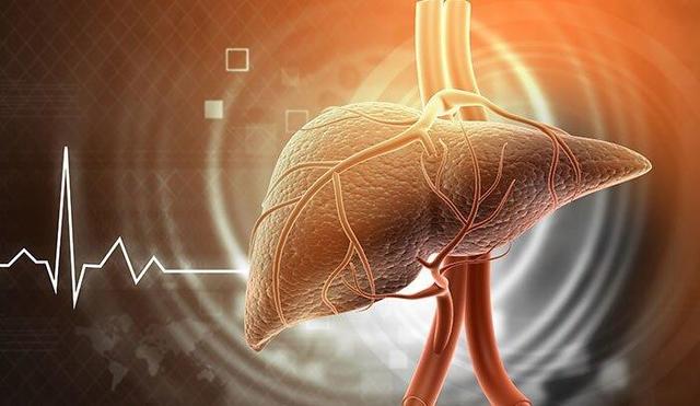 علائم اولیه کبد چرب چیست؟ ؛ راهکارهای طلایی برای جلوگیری از کبد چرب