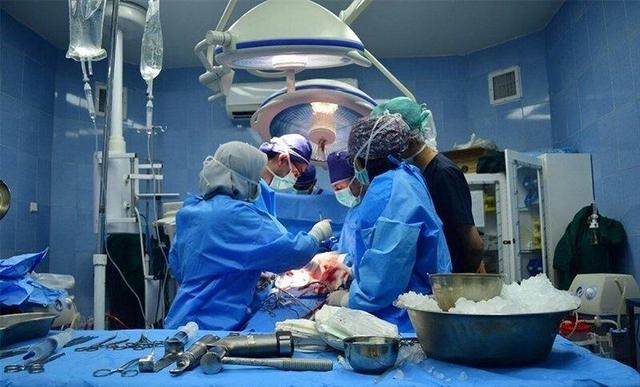 چیدن گردو در دماوند قربانی گرفت