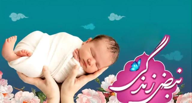 ۲۵۰ اثر به دبیرخانه جشنواره «نبض زندگی» در یزد واصل شد