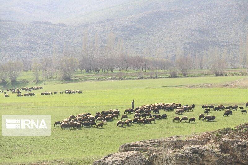 جامعه هدف یک میلیون نفری آموزش‌های ترویجی منابع طبیعی در کشور