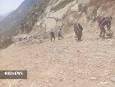 روستای کلوار بدون جاده دسترسی، گاز و آنتن دهی مناسب