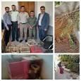 دستگیری متخلف زنده گیری کبک وحشی در شهرستان لردگان