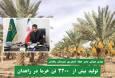 تولید بیش از ۳۲۰۰ تن خرما در زاهدان