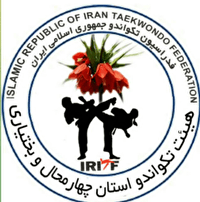 مدال‌آوری دختران چهارمحال و بختیاری در مسابقات بین‌المللی کوکی وان کاپ