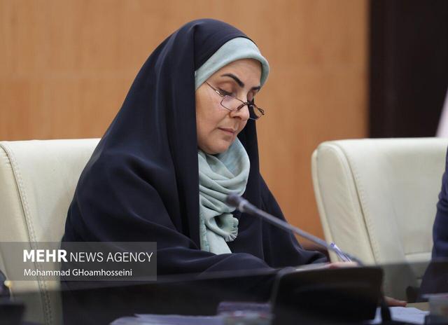 وزیر راه و شهرسازی: مشارکت بخش‌ خصوصی در حمل ونقل ریلی افزایش می‌یابد