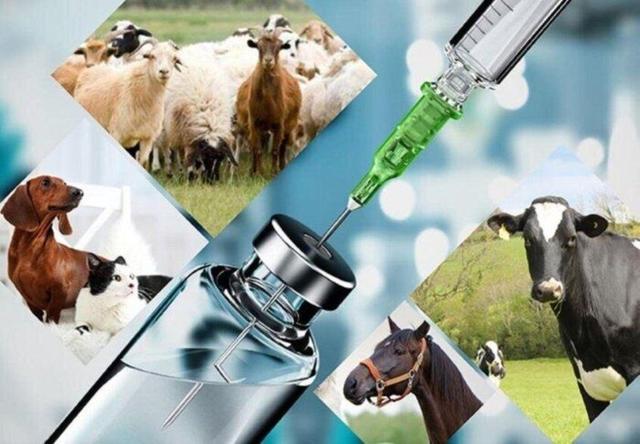 استاندار همدان: دامپزشکی رسالتی برای حفظ سلامت و امنیت غذایی جامعه است