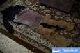 عکس: مرگ در حیاط خانه: کودکان قربانی آتش رژیم صهیونیستی