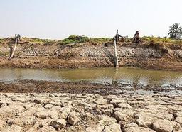 زوال سالانه ۱۳ هزار هکتار باغات پسته/ پرمصرفها هزینه مصرف خود را بر دوش کممصرفها میاندازند!