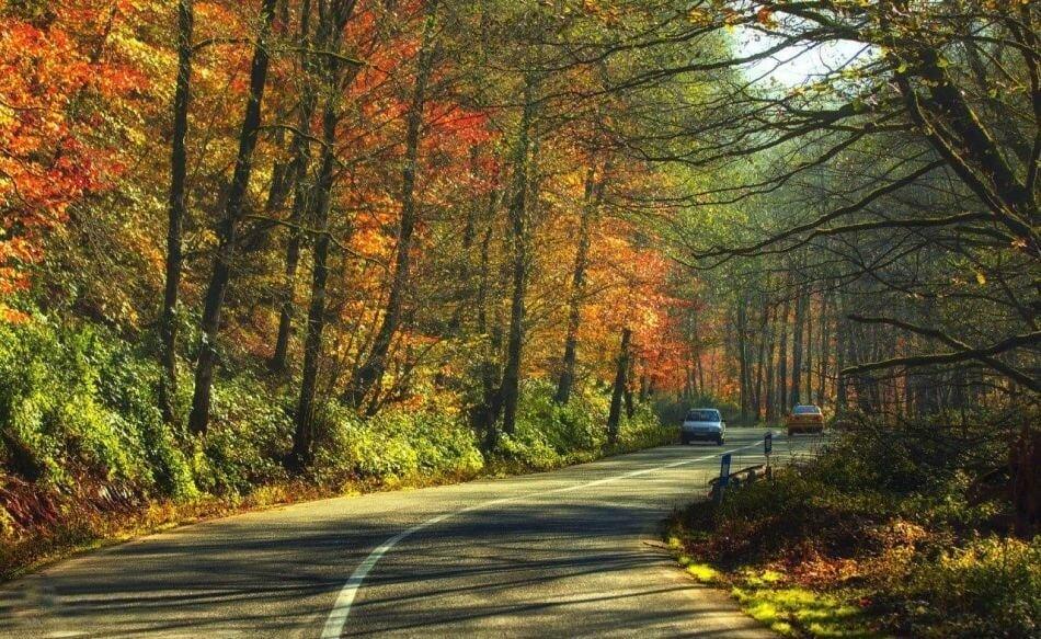پنجره‌ای به پاییز ایران/ ۵ مقصد رنگارنگ برای پاییزگردی و خاطره‌سازی