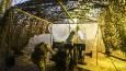 Kiev not inclined toward peace – Kremlin