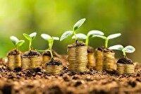 تقویت مالی صندوق کشاورزی زنجان در میز هم‌اندیشی