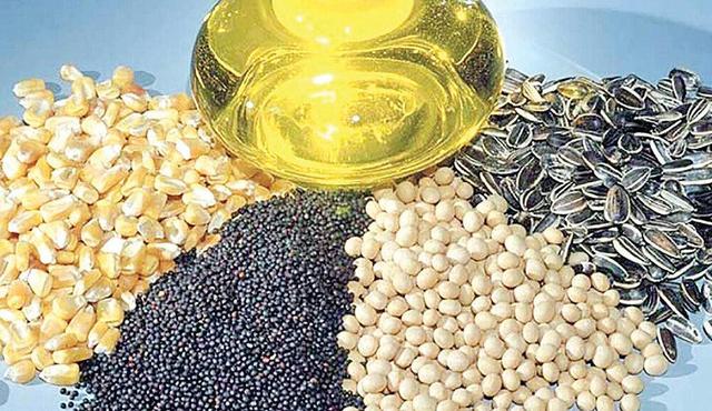 چقدر "مس" بخوریم؟/ خطر ابتلا به آلزایمر، پارکینسون و بیماری ویلسون