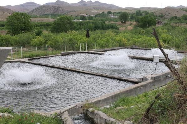 اعطای ۲۳۰ میلیارد ریال تسهیلات حمایتی به مزارع آبزی ‌پروری اردبیل   