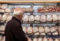 راز گرانی مرغ چیست؟/تنها 36 درصد هزینه های تولید مرغ با ارز 28500 تومان است