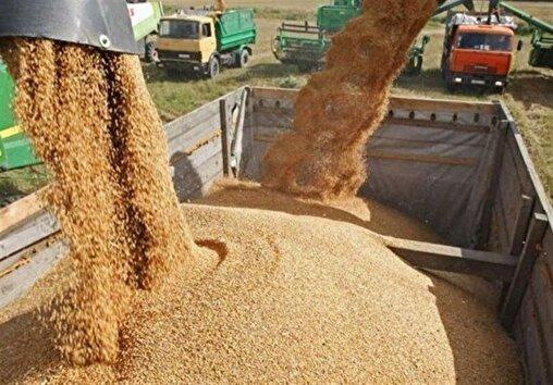 بازار نهاده‌های دامی در تسخیر دلال‌ها و جریان‌های مافیایی/ وزارت کشاورزی نه پاسخگوست، نه نظارت دارد/ قوه قضاییه ورود کند