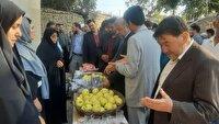برپایی جشنواره سیب در روستای باغ عباس فریمان