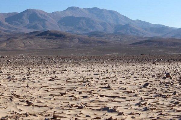 خشک‌ترین بیابان زمین در شیلی تبدیل به بهشت شد + عکس